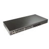 SW-24G4X-L3ST 