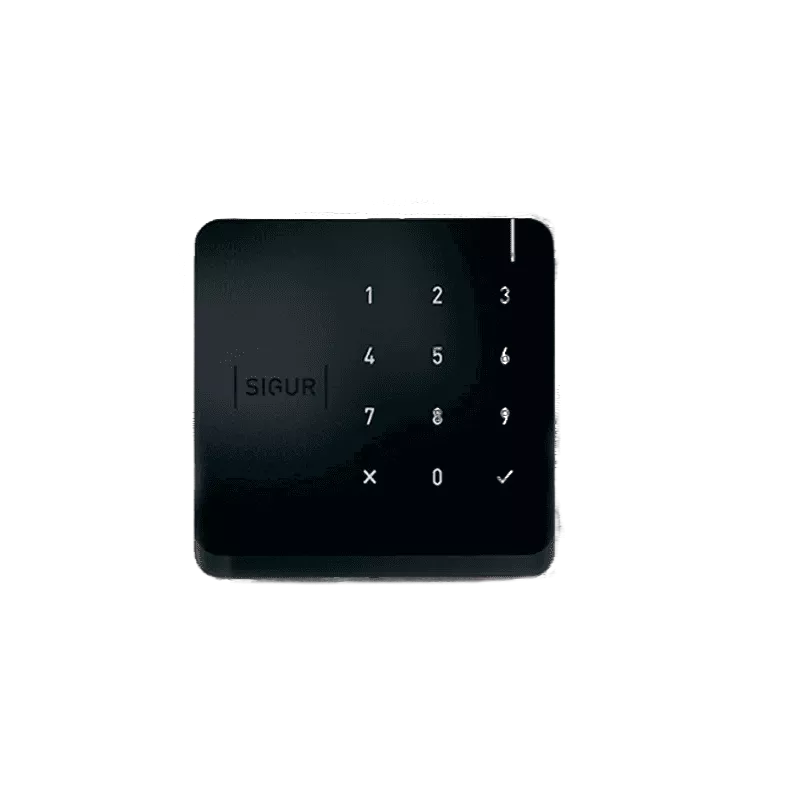 SIGUR MK100