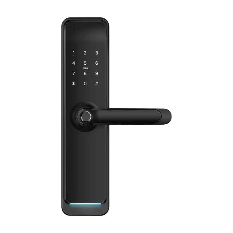 Smart Fast BLACK v.4213