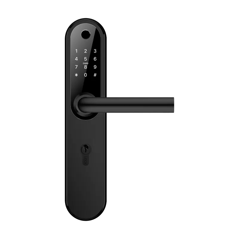 Home Plus BLACK v.4240