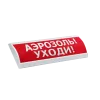 ���� ������ 